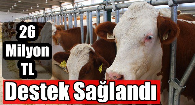 Hayvancılığa Tam Destek
