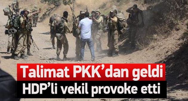 HDP'li vekilden Uludere Provokasyonu