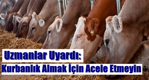 Kurbanlık almak için acele etmeyin!