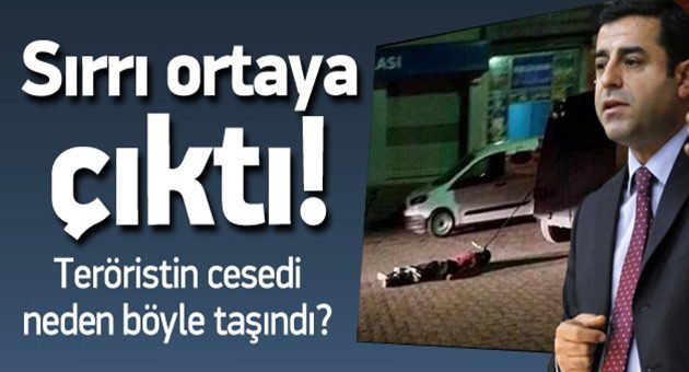 O Fotoğrafın Nedeni Ortaya Çıktı