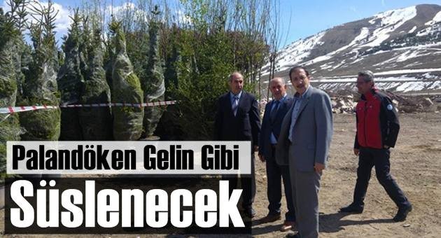 Palandöken'de Yeşil Alan Seferberliği