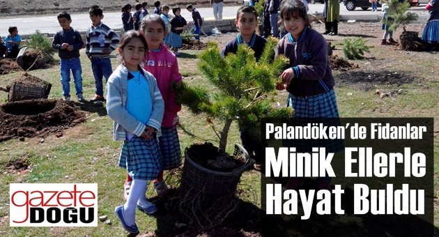 Palandökenli Minik Ellerden Fidan Dikimi