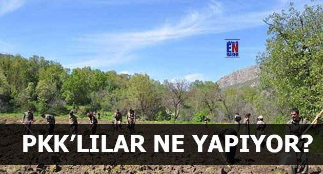 PKK'lılar Ne Yapıyor?