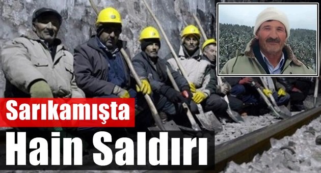 Hainler Bu Kez Sarıkamış'ta Saldırdı