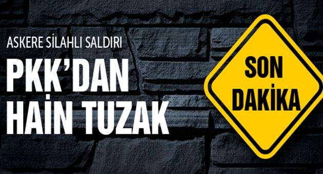Şırnak ve Van'da PKK Saldırısı