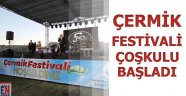 Çermik Festivali Çoşkulu Başladı