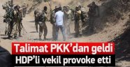 HDP'li vekilden Uludere Provokasyonu