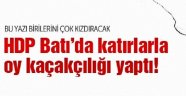 HDP'nin Batı'daki Katırları