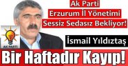 Ak Parti Erzurum İl Yönetimi, Yok Gibi!