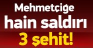 Kalleşçe ve Adice Saldırıyorlar