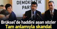 Demirtaş Avrupa'ya Sığındı, Haddini Aştı!