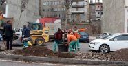 Büyükşehir Can Ekiyor