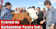 Kurbanlıklar Pazara İndi