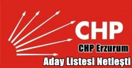 CHP Erzurum Aday Listesi Netleşti