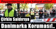 Danimarka Hakarete Yine Göz Yumdu!