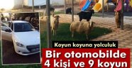Polis Şaşkına Döndü