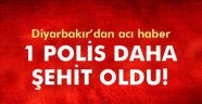 Diyarbakır'dan Acı Haber!