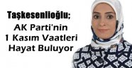 Taşkesenlioğlu Gündemi Değerlendirdi
