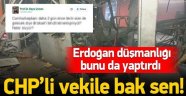 CHP'li Vekilden Skandal Belçika Paylaşımı