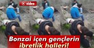Bonzai Kullanıcılarının Acınası Hali
