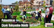Palandöken Çiçek Bahçesine Döndü