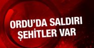 Acı Haber Ordu'dan Geldi. 3 Şehit!
