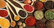 Kandıralı, Bitkilerin Gücünü Anlattı