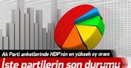 Bu Ankette HDP'nin Barajı Geçmesi Zor
