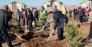 Her 'KAN'a Bir Fidan