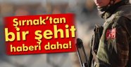 Acı Haber Şırnak'tan Geldi, 1 Şehit