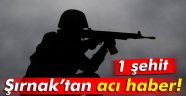Acı Haber Şırnak'tan Geldi!