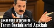Bakan Çelik Tarım Desteklerini Erzurum'da Açıkladı