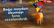 Boğaya Meydan Okumanın Acı Sonu!
