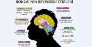 Bonzai Beyni Öldürüyor