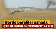 Bordo Berelilerden DAEŞ Temizliği