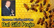 Büyükşehir Erzurum'u Ballandırıyor