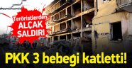 Caniler Bebekleri Katletti!