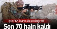 Caniler Bitişin Eşiğinde