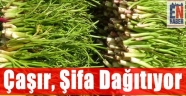 Çaşır, Şifa Kaynağı