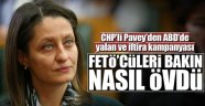 CHP'li Pavey'den İhanet Gibi Yazı