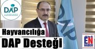 DAP'dan Hayvancılığa Büyük Destek