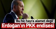 Erdoğan'ın PKK Endişesi