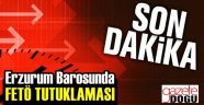 Erzurum Barosunda FETÖ Tutuklaması