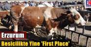 Erzurum Besicilikte Yine Birinci