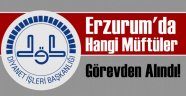 Erzurum Diyanet'te FETÖ Operasyonu