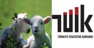 Erzurum Hayvancılıkta Büyümeye Çalışıyor