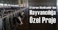 Erzurum Organik Tarımla Üretecek