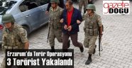 Erzurum'da Terör Operasyonu