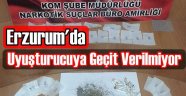 Erzurum'da Uyuşturucuya Geçit Verilmiyor