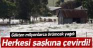 Gökten Yağan Örümcekler